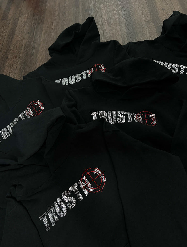 TRUSTNO1 RHINESTONE HOODIE